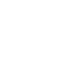 Cavilla Logo biale 500